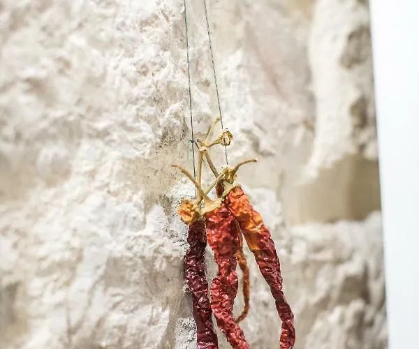 Midtown Center Zadar